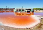 Bioremédiation des eaux usées